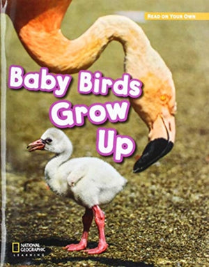 Royo Readers Level B Baby Bird S Grow UP
