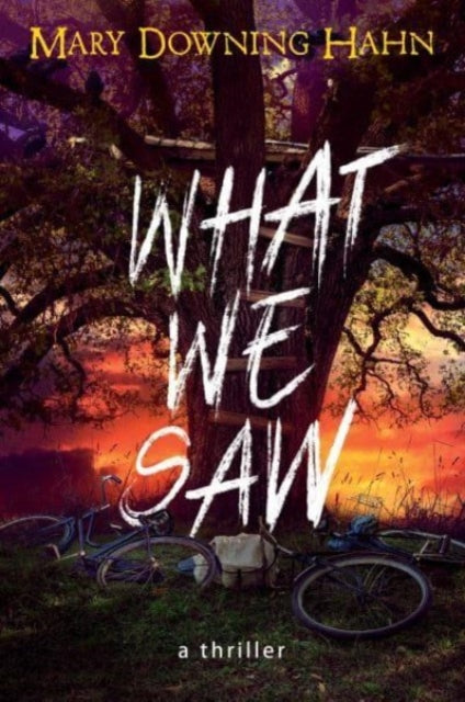 Book cover of: What We Saw. By: Mary Downing Hahn