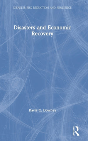 Disasters and Economic Recovery
