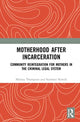 Book cover of: Motherhood after Incarceration. By: Melissa Thompson
