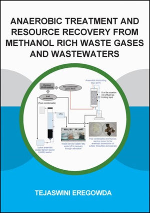 Anaerobic Treatment and Resource Recovery from Methanol Rich Waste Gases and Wastewaters