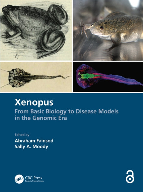 Book cover of: Xenopus. By: Sally A. Moody