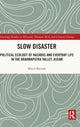 Book cover of: Slow Disaster. By: Mitul Baruah