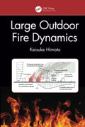 Large Outdoor Fire Dynamics