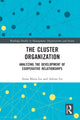 Book cover of: Cluster Organization. By: Anna Maria Lis