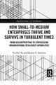 Book cover of: How Small-to-Medium Enterprises Thrive and Survive in Turbulent Times