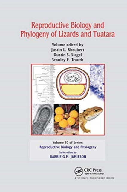 Book cover of: Reproductive Biology and Phylogeny of Lizards and Tuatara. By: Justin L. Rheubert