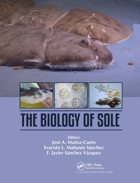 Book cover of: Biology of Sole. By: José A. Muñoz-Cueto