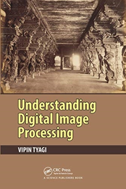 Book cover of: Understanding Digital Image Processing. By: Vipin Tyagi