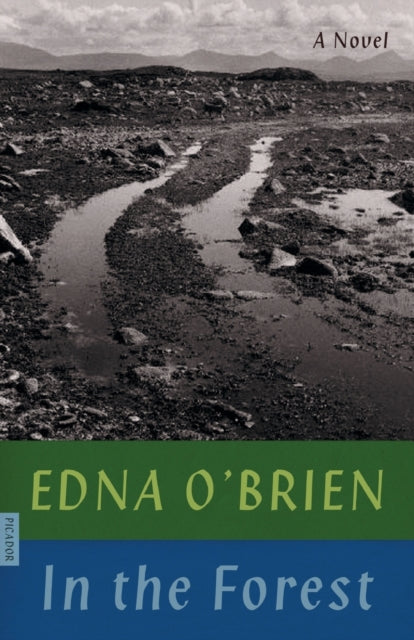 Book cover of: In the Forest. By: Edna O’Brien