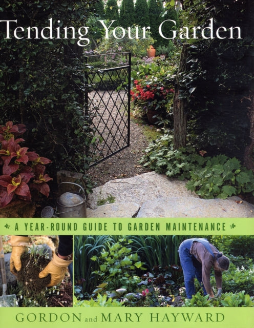 Book cover of: Tending Your Garden. By: Gordon Hayward