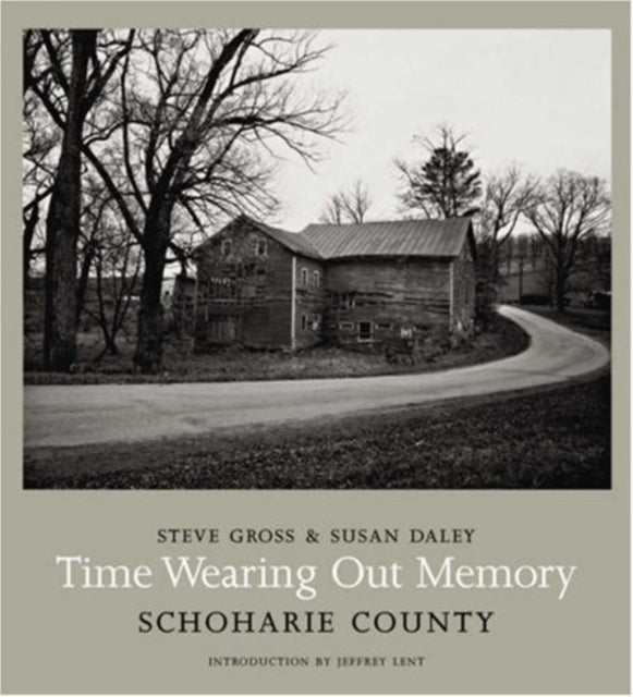 Book cover of: Time Wearing Out Memory. By: Steve Gross
