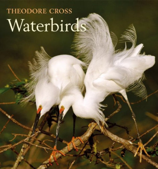 Book cover of: Waterbirds. By: Theodore L. Cross