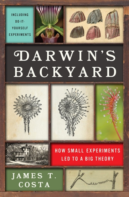 Book cover of: Darwin's Backyard. By: James T. Costa