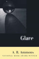 Book cover of: Glare