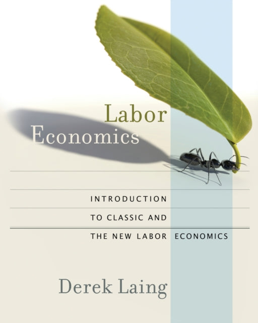 Book cover of: Labor Economics. By: Derek Laing