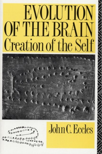 Book cover of: Evolution of the Brain: Creation of the Self. By: John C. Eccles