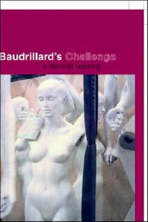 Baudrillard's Challenge