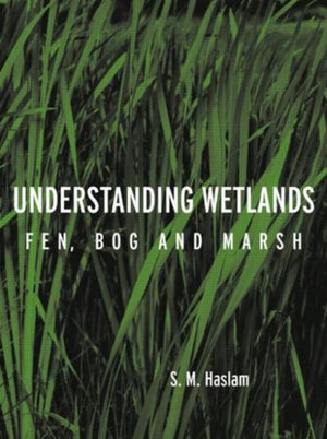 Understanding Wetlands