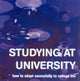 Book cover of: Studying at University