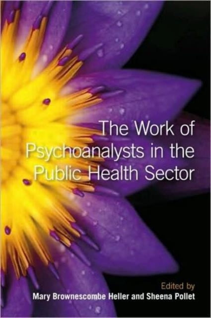 Book cover of: Work of Psychoanalysts in the Public Health Sector