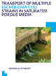 Book cover of: Transport of multiple Escherichia coli strains in saturated porous media. By: George Lutterodt