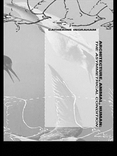 Book cover of: Architecture, Animal, Human. By: Cather Ingraham