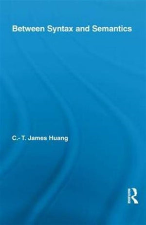 Between Syntax and Semantics