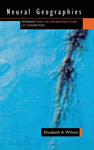Neural Geographies
