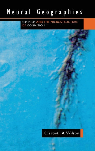 Book cover of: Neural Geographies