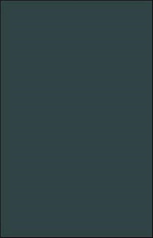 The Holocaust Novel