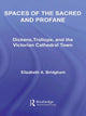 Book cover of: Spaces of the Sacred and Profane. By: Elizabeth A. Bridgham, Elizab Bridgham