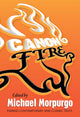 Canoni tuli