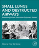 Book cover of: Small Lungs and Obstructed Airways. By: Peter Burney