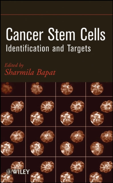 Book cover of: Cancer Stem Cells
