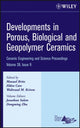 Book cover of: Developments in Porous, Biological and Geopolymer Ceramics, Volume 28, Issue 9. By: Manuel E. Brito, International Conference on Advanced Ceramics and Composites (31st 2007 Daytona Beach, Florida)