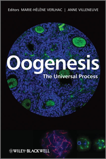 Book cover of: Oogenesis