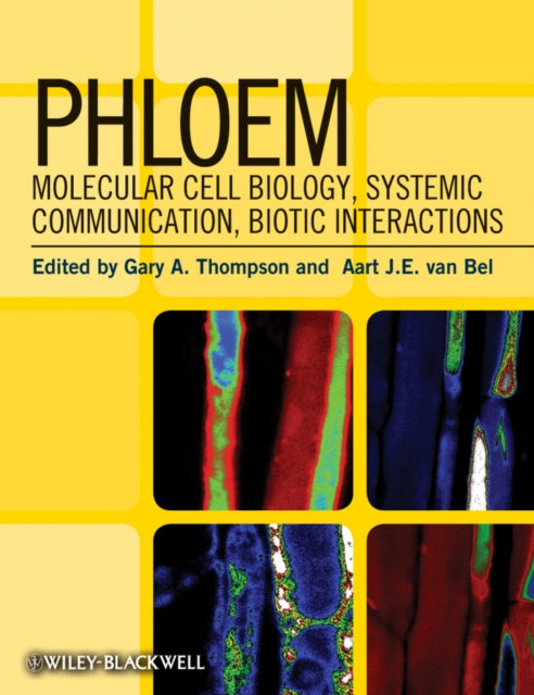 Book cover of: Phloem. By: Gary A. Thompson