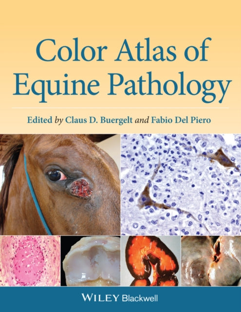 Book cover of: Color Atlas of Equine Pathology