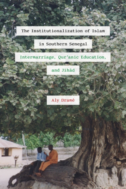 Book cover of: Institutionalization of Islam in Southern Senegal. By: Aly Dramé