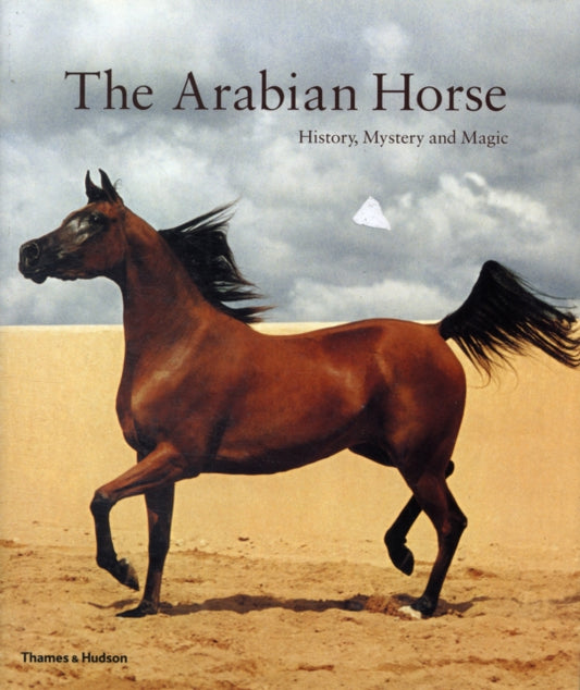 Book cover of: Arabian Horse. By: Hossein Amirsadeghi