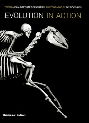 Evolutsioon tegevuses