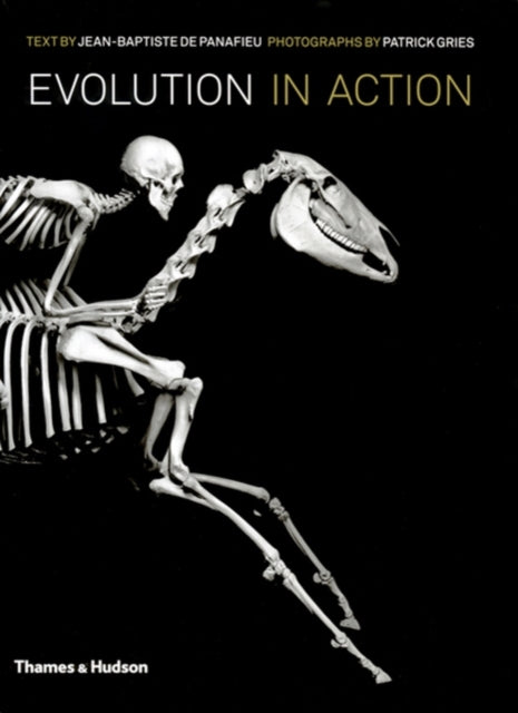 Evolutsioon tegevuses