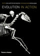 Evolutsioon tegevuses