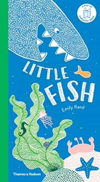 Little Fish, A Carousel Book 9780500651629 Emily Rand