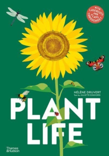 Book cover of: Plant Life. By: Hélène Druvert