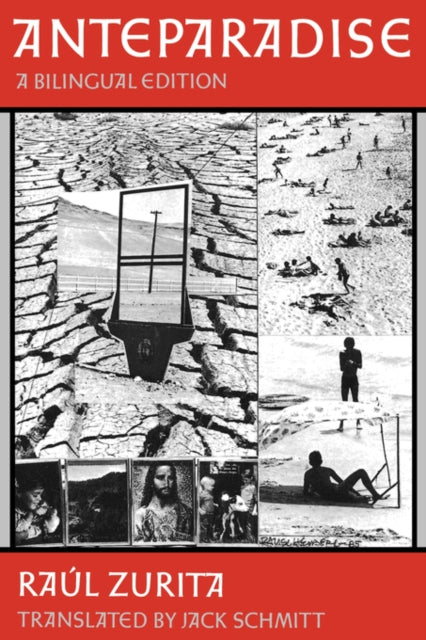 Book cover of: Anteparadise, A Bilingual edition. By: Raúl Zurita