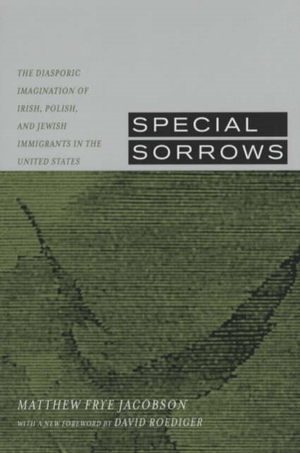 Book cover of: Special Sorrows