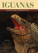 Book cover of: Iguanas
