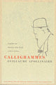Kalligrammid